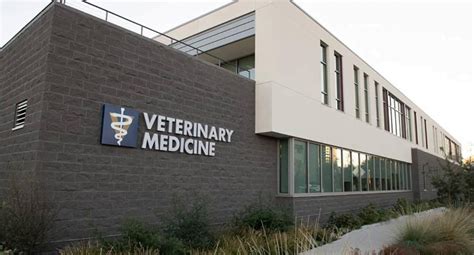 Vet schools in america. Things To Know About Vet schools in america. 